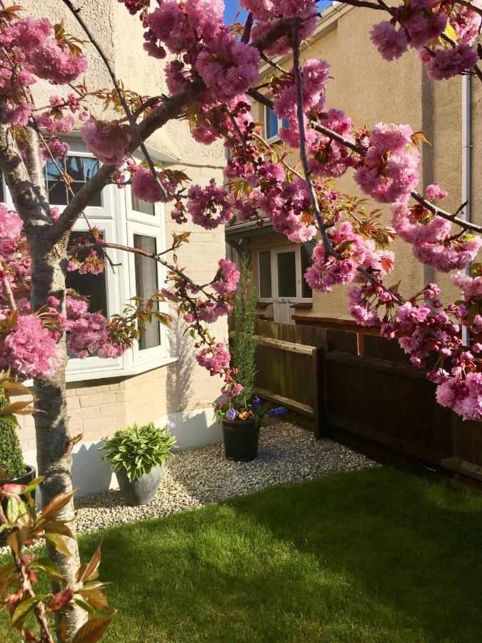 ボーンマス Cherry Tree House Bed & Breakfast エクステリア 写真